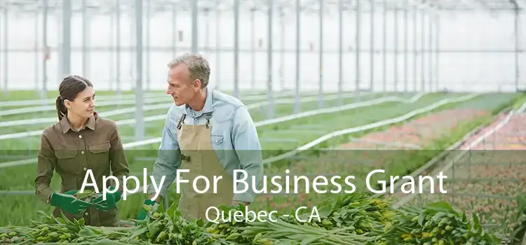 Apply For Business Grant Quebec - CA